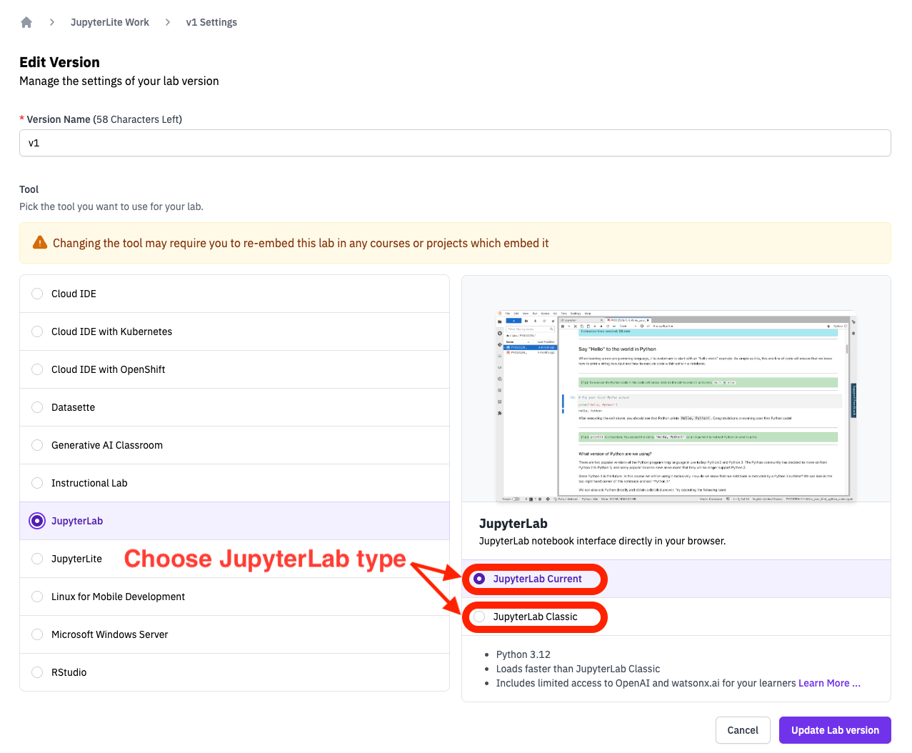 Choose JupyterLab type